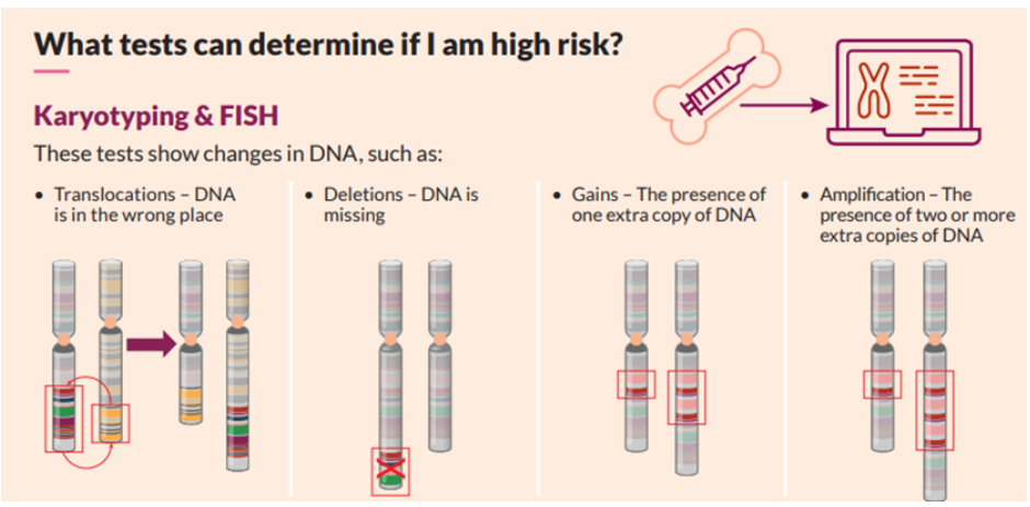 Karyotyping and FISH tests can show changes in DNA, such as: translocations, deletions, gains, and amplification.
